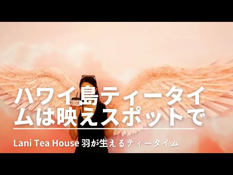 【ハワイ島コナ グルメ】Lani Tea Houseでティータイム！