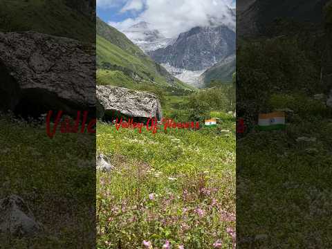 Valley Of Flowers Uttarakhand #nationalpark #govindghat #Uttarakhand #valley #joshimath #ytshorts