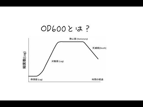 OD600とは？