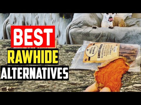 ✅Top 5 Best Rawhide Alternatives for Dogs in 2024