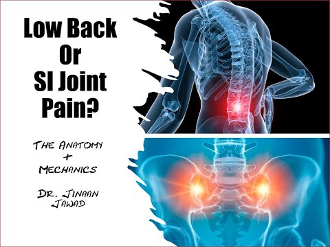 Is It Low Back Pain or SI Joint Pain?  The Mechanics -- Part 1