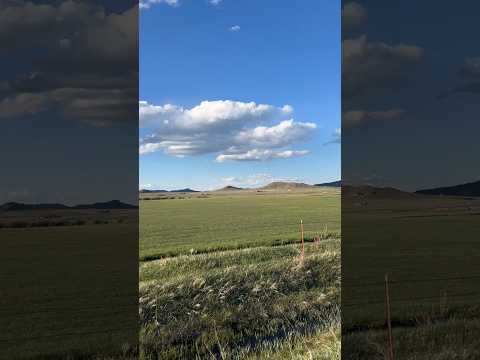 Today on the Homestead: Our Beautiful Drive Home Through the Colorado Mountains | Scenic  #shorts