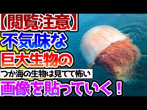 【2ch動物スレ】【閲覧注意】不気味だけどなんか見たくなるんよなあ、巨大生物って【なんj】 #生き物 #2ch