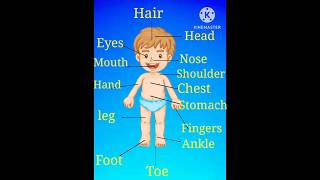 Body parts for kids | learn Body parts | kids vocabulary| educational video|#EducationandFunforkids😁