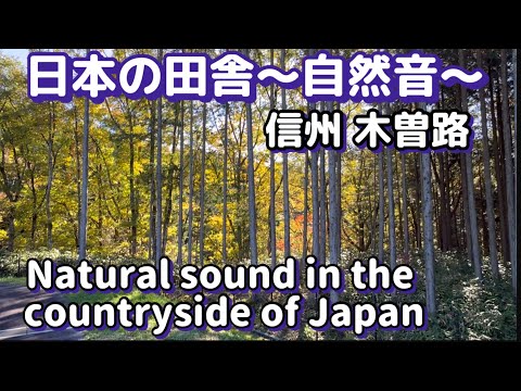 【自然音に癒される】信州木曽路Be healed by the natural sound