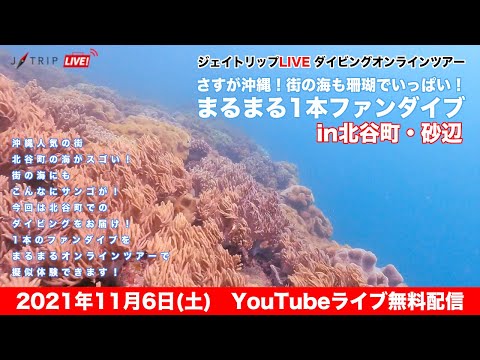 【沖縄ダイビングオンラインツアー】さすが沖縄！街の海も珊瑚でいっぱい！まるまる1本ファンダイブin北谷町・砂辺