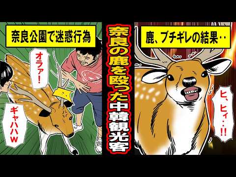 【実話】増加する奈良の鹿を暴力をふるう中韓観光客に、ついに鹿がブチギレた結果‥