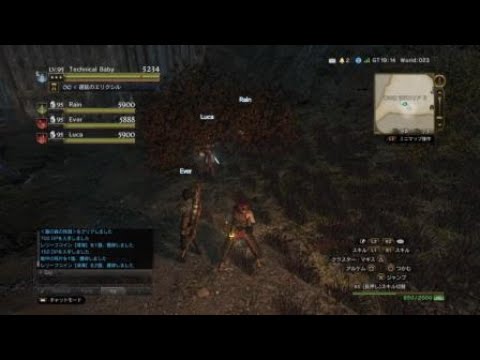 [DDON] WQ 霧の森の死闘　戦の将