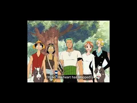 zoro almost killed zenny and gets insulted by the crew