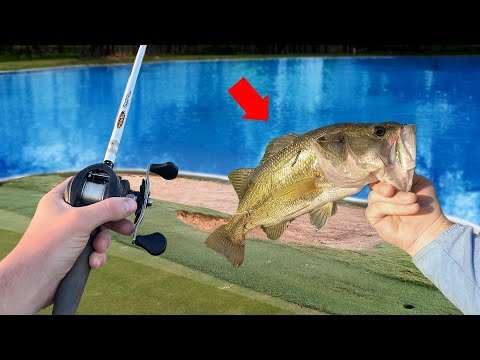 How to Fish at 99% of Golf Courses