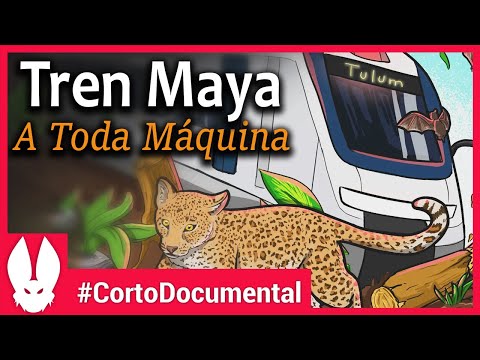 ¿ El Desastre del Tren Maya?