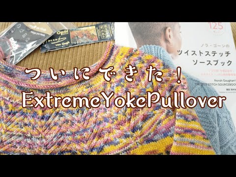 【ウエア大物に挑戦✨】ボトムアップ↑ゴッホ🧶で編む柄編みセーター😍