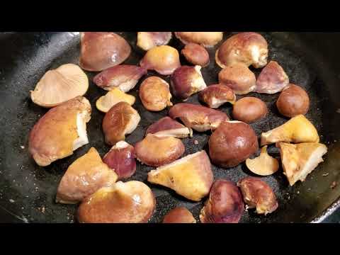 Late Fall Oyster Mushroom Cooking Tips