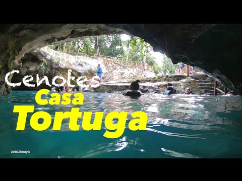 Cenotes Casa Tortuga - Tulum, Mexico