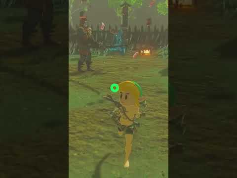 Tulin Saves Link In Zelda TOTK #short #totk #majorasmask