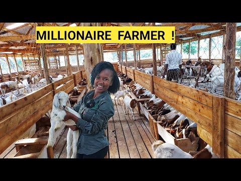 All You Need To Start A Simple Farm Business! | Business plan, Workers, Farm Routine.