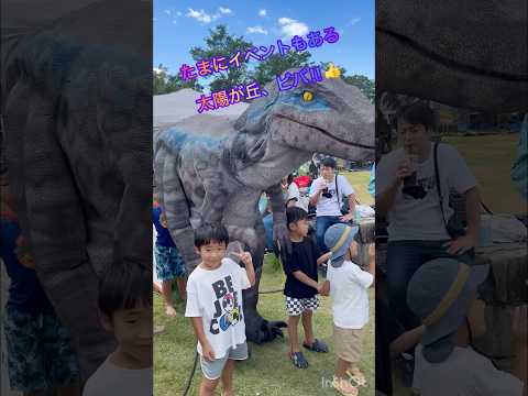 そらチャンネル　子供が喜ぶ公園へ行こうよ！　#こどものいる暮らし   #京都府立山城総合運動公園   #太陽が丘　#shorts