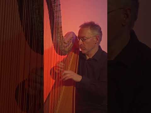 Der Lindenbaum / Am Brunnen vor dem Tore (Franz Schubert) on pedal harp #harp #schubert (p2)