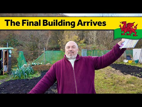 151. Waiting for the Greenhouse - Living Alone in Wales (November 2024)