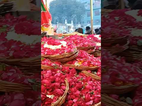 Ajmer Khwaja Garib Nawaz 💗 Ajmer Sharif Dargah Urs 💗#ajmer #khwaja #garibnawaz #dargah #qawwali #