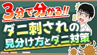 【3分で分かる】ダニ刺されの見分け方とダニ対策について解説