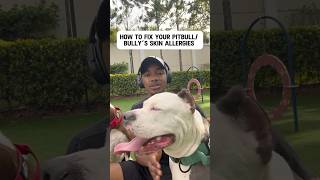 How to fix your dogs allergies #xlbully #dogtips #canecorso #germanshepherd  #dogallergies