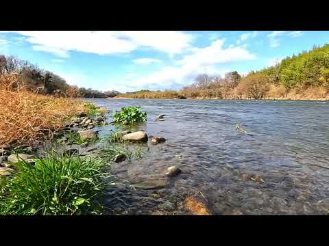 【3h】Tranquil River Sounds in the Countryside: Nature’s Soothing Symphony