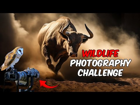 Wildlife Photography Challenge Capturing Rare and Elusive Species