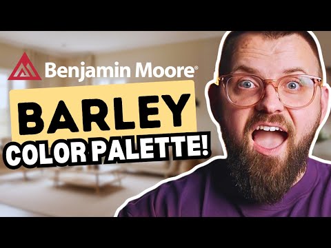 Transform Your Space with the Benjamin Moore Barley Palette