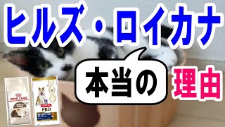 獣医師がヒルズ・ロイヤルカナンを勧める本当の理由|ドッグフード＆キャットフード