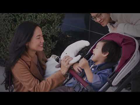 UPPAbaby VISTA V2 in Limited Edition Jade Rabbit