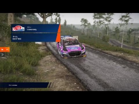 WRC Generations – The FIA WRC Official Game_20241221072015