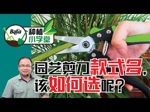 【Baba种植小学堂】众多款式园艺剪刀该如何选？盘点各类园艺剪刀的刀口以及独特功能 | 花园修剪工具