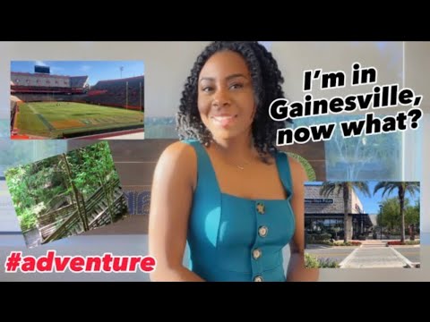 17 Things to Do in Gainesville, Fl!