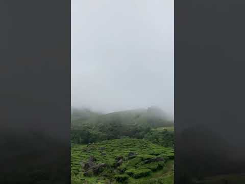 😍 മൂന്നാർ 💕 Munnar #shorts #youtubeshorts