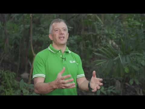 Reforestation in Malaysia | Nestlé RELeaf