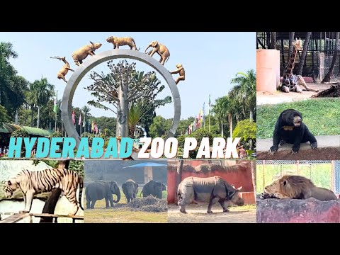 Nehru Zoological Park Hyderabad Full Tour 2024 | Hyderabad Attractions