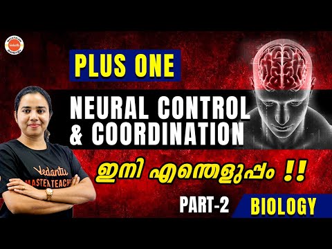 Neural Control & Coordination | Plus One Biology | Part 2 | Aswani Ma'am