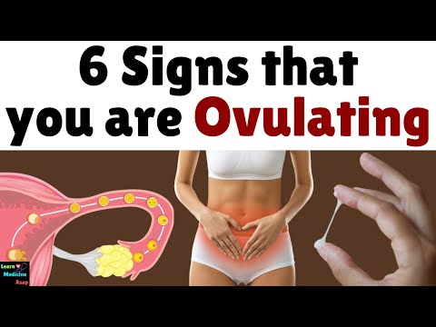 6 Signs that you are Ovulating | Signs and Symptoms of Ovulation