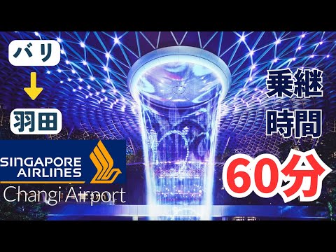 [Explanation] No-fail Singapore transfer from Bali to Haneda [Singapore Airlines]