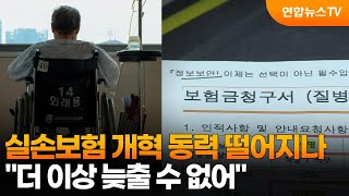 실손보험 개혁 동력 떨어지나…"더 이상 늦출 수 없어" / 연합뉴스TV (YonhapnewsTV)