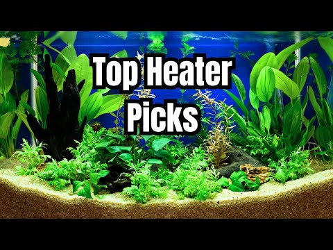 The Best Aquarium Heaters (And How To Choose)