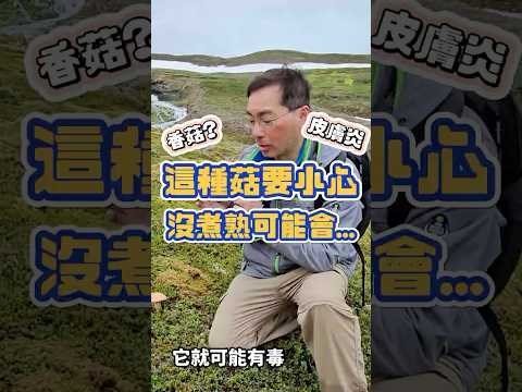 這種菇要小心，沒煮熟可能會有XX皮膚炎...#shorts