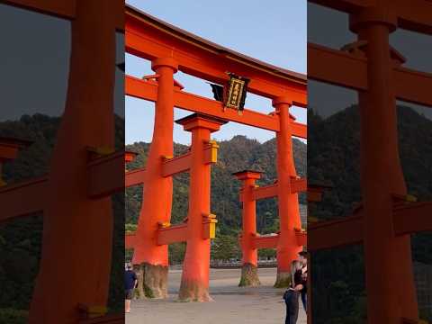 Miyajima Island is famous for the Itsukushima torii gate, which appears to float at high tide.