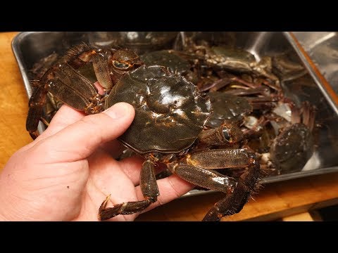 モクズガニの酒蒸しの作り方～How to make mokugu crab easy liquor steaming