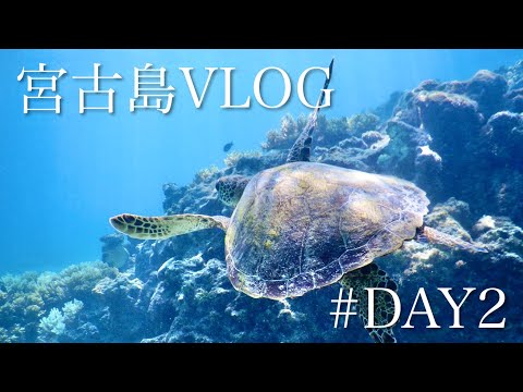 宮古島3泊4日〜シーカヤック乗ってパンプキン鍾乳洞&ウミガメツアー編〜#DAY2