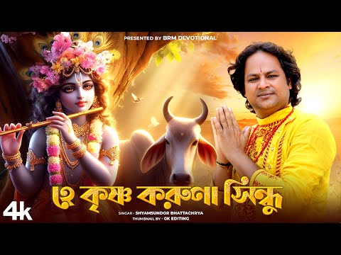 হে কৃষ্ণ করুণা সিন্ধু | He Krishna Karuna Sindhu | Krishna Song | BRM Devotional | Hare Krishna 2024