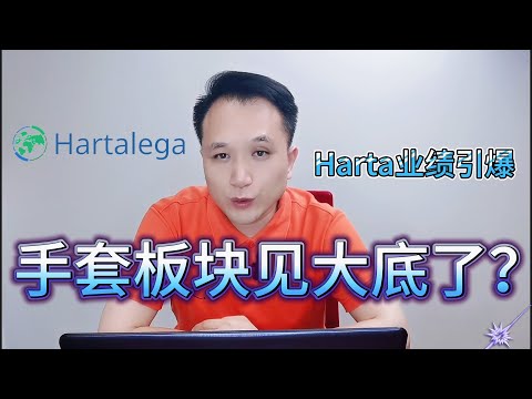 【手头盛宴再现】Hartalega业绩利好引爆整个手套板块，已经进牛市？必看#手套股 #林伟才 #贺特佳 #业绩 #Q3财报 #三季报利好