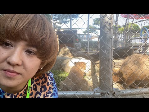 おい！久しぶりやぞ！桂浜水族館！