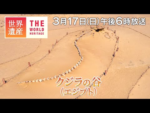 【TBS世界遺産】4000万年前は海！砂漠にクジラの化石～クジラの谷 （エジプト）【3月17日午後6時放送】